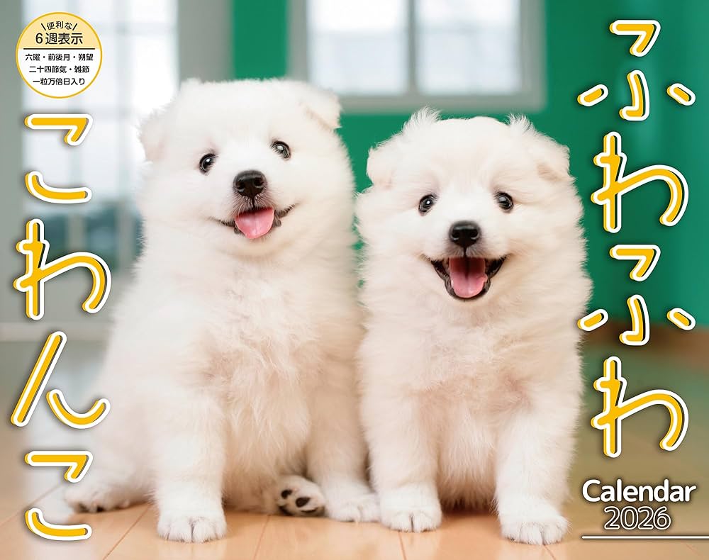 オーダー受付　チワワ　ご予約ページ　5/16 オーダー受付 チワワ ご予約ページ 5/16